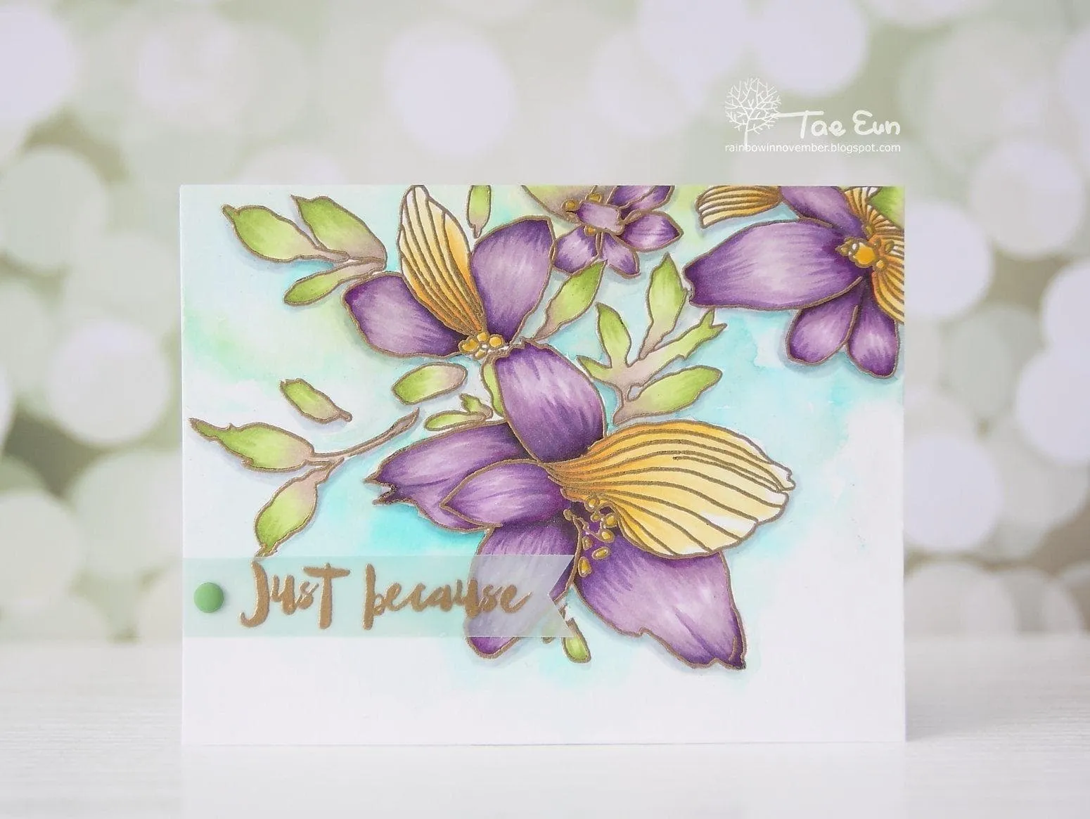 English Country Garden 12 Artist Alcohol Ink Set C Bundle