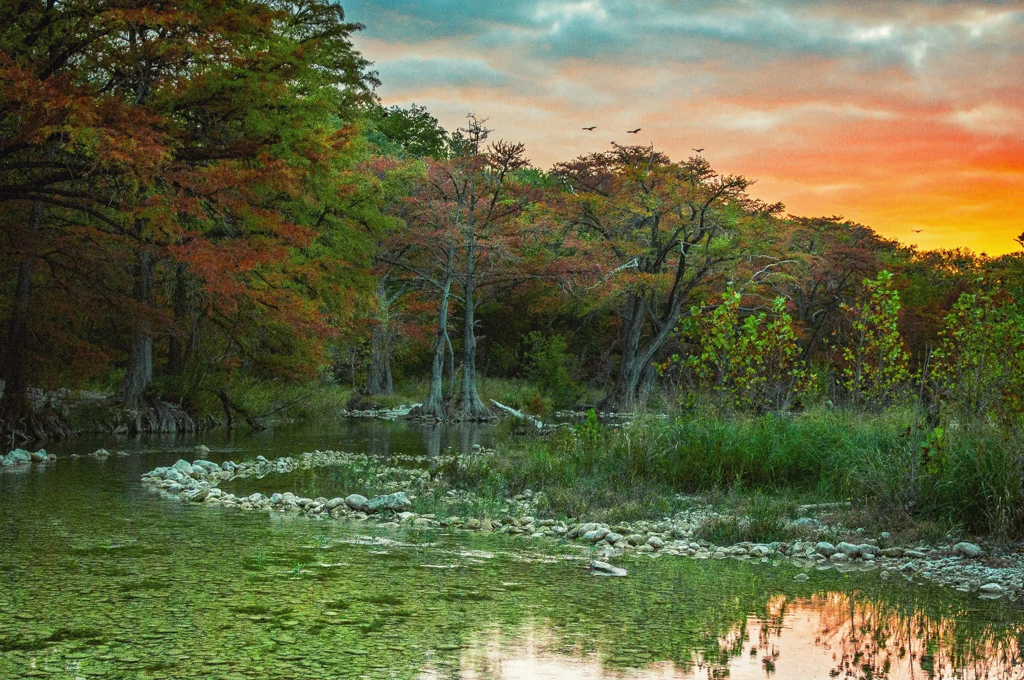 Frio At Dawn | Landscape Puzzle | 250, 500, 1000 Pieces