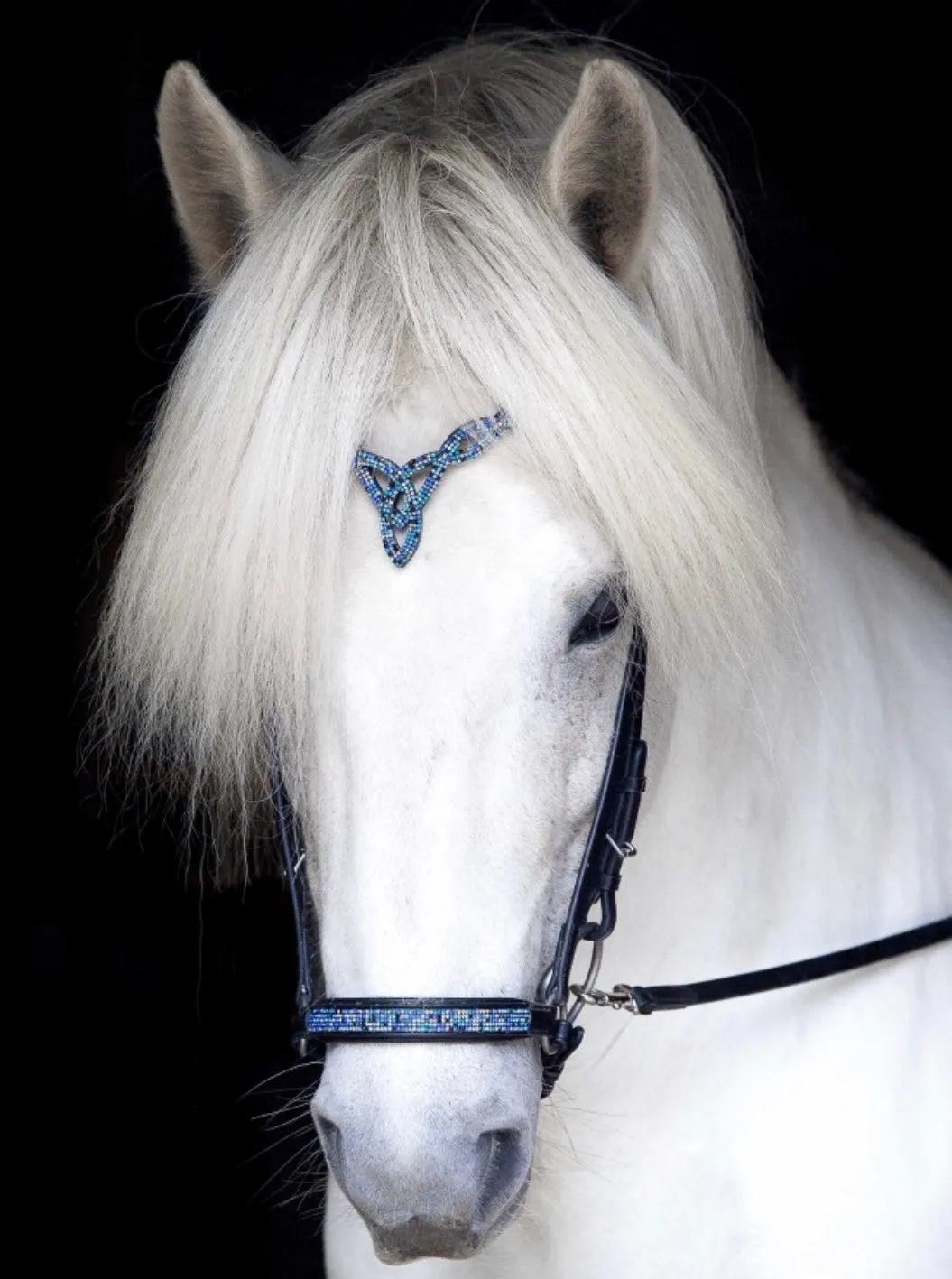 Hrimnir Headstall with blue stones
