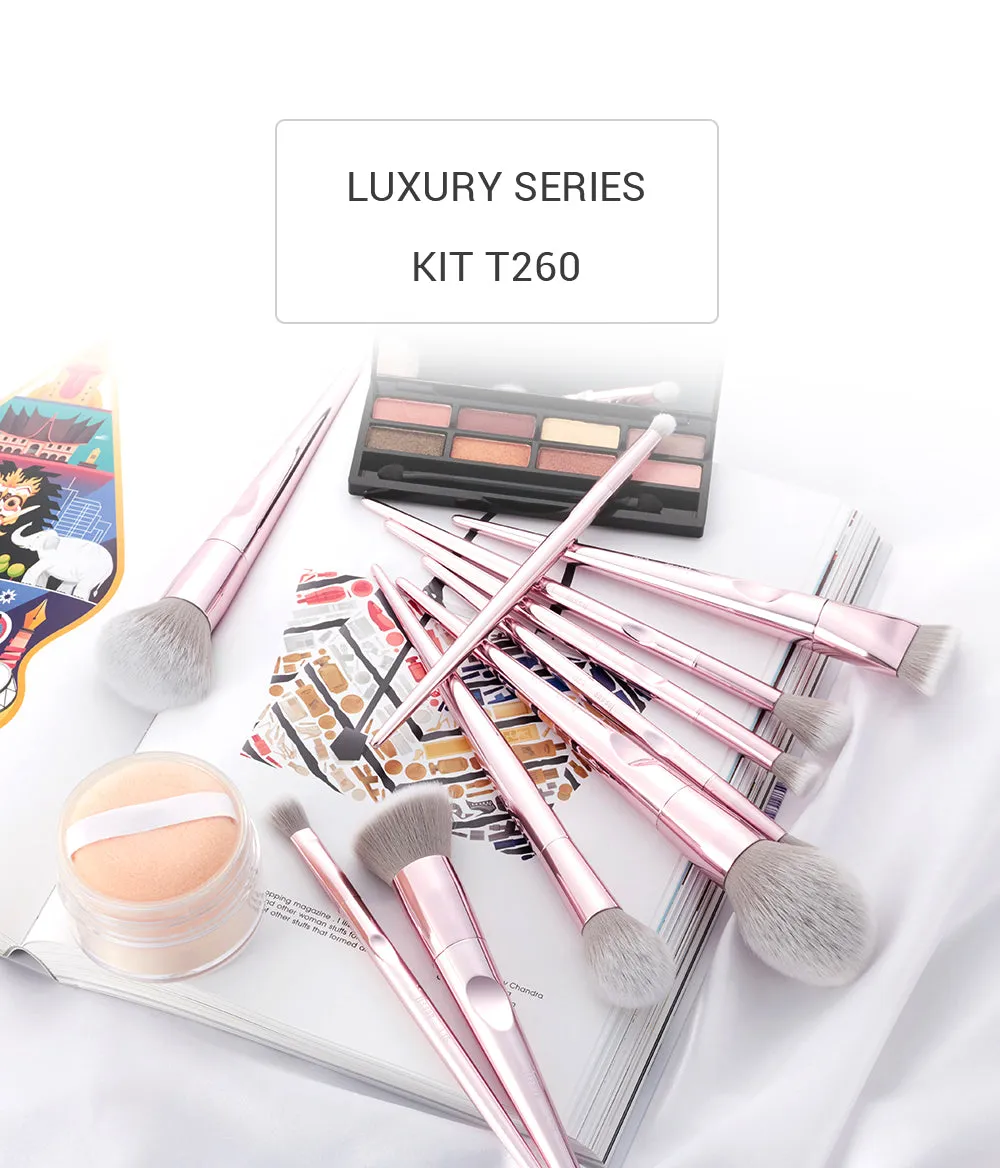 Luxury 10 Pcs Makeup Brush Set T260