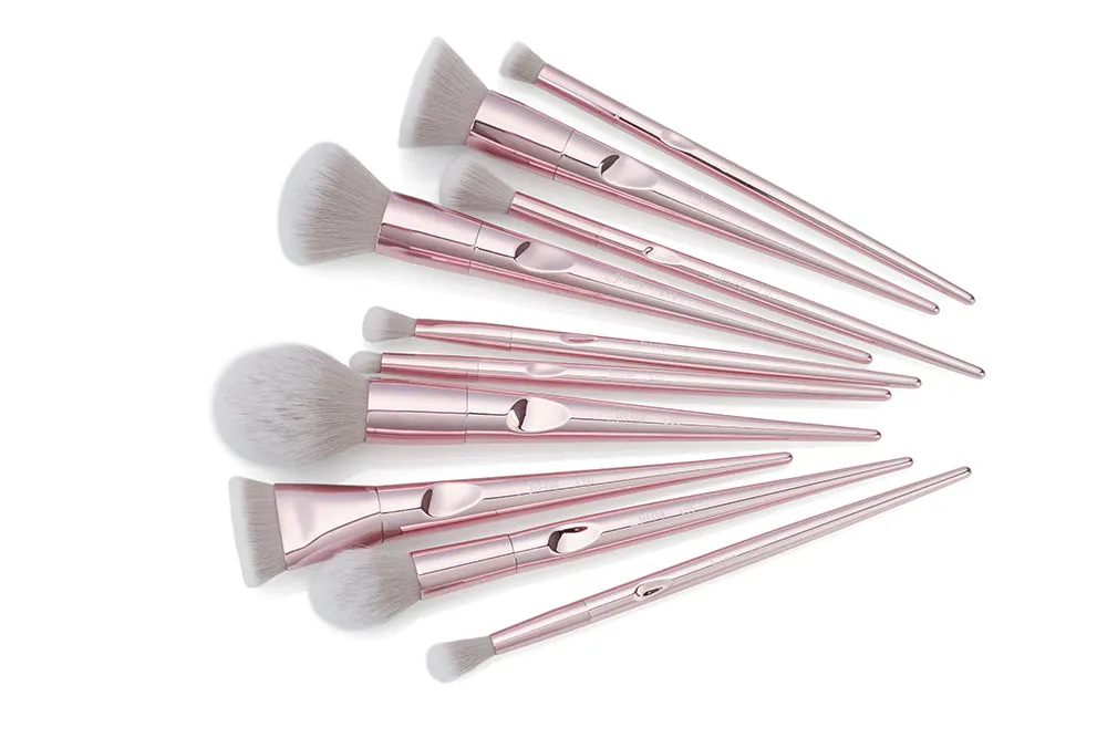 Luxury 10 Pcs Makeup Brush Set T260
