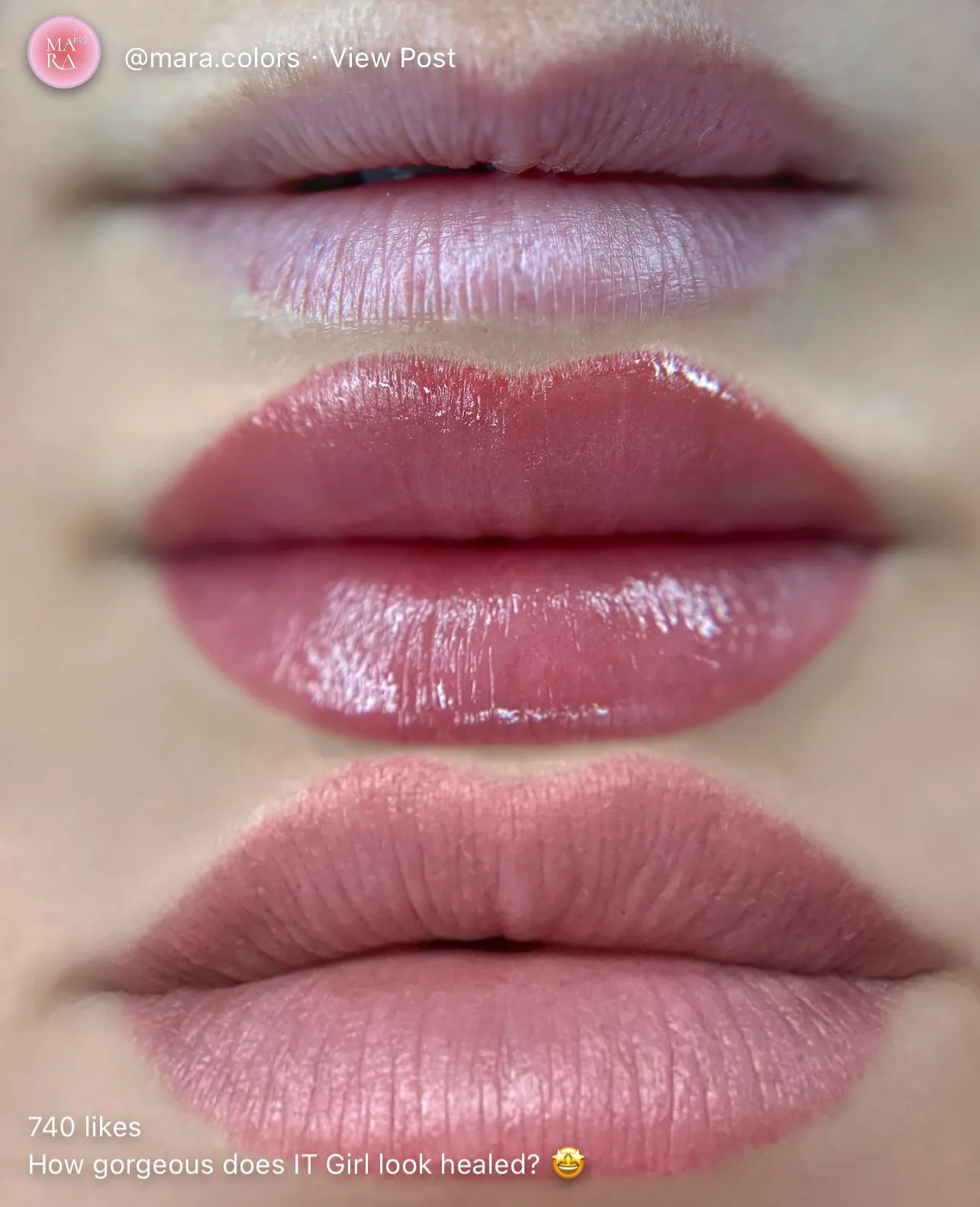 MARA Pro Nude Lip Blush Pigment Collection Set 4 x 15ml